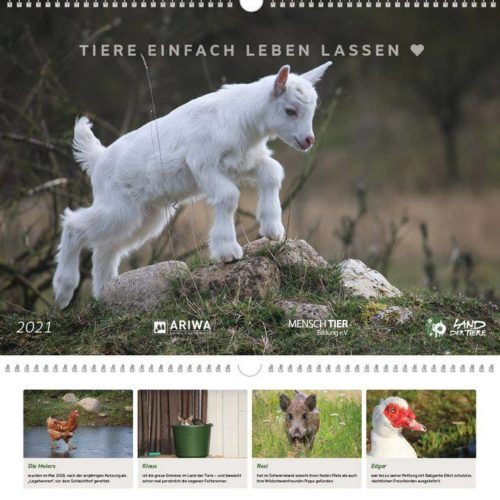 Land der Tiere - Bildkalender 2021