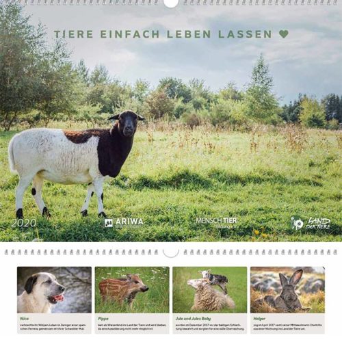 Land der Tiere - Bildkalender 2020