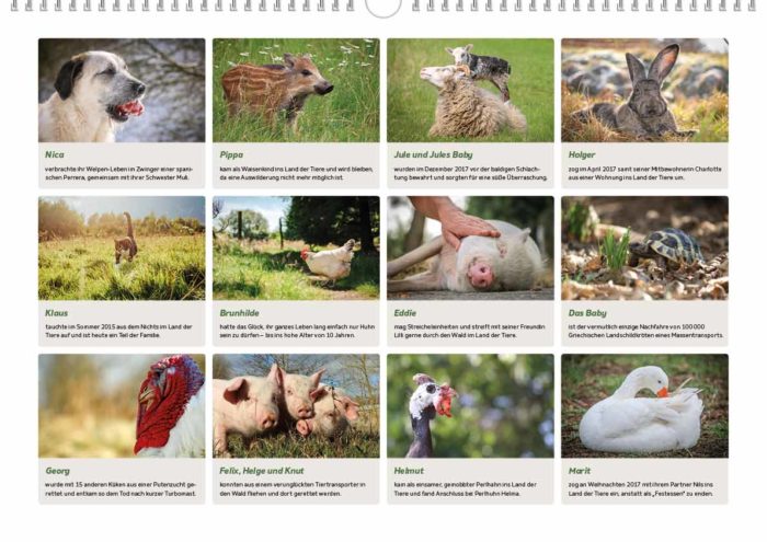 Land der Tiere - Bildkalender 2020