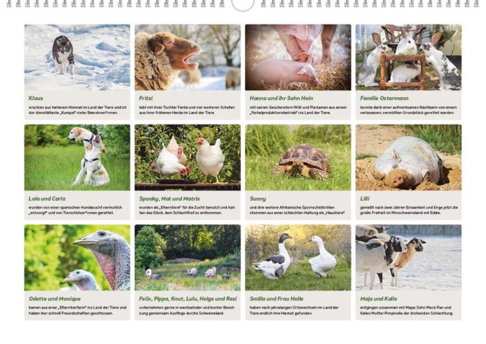 Land der Tiere - Bildkalender 2022