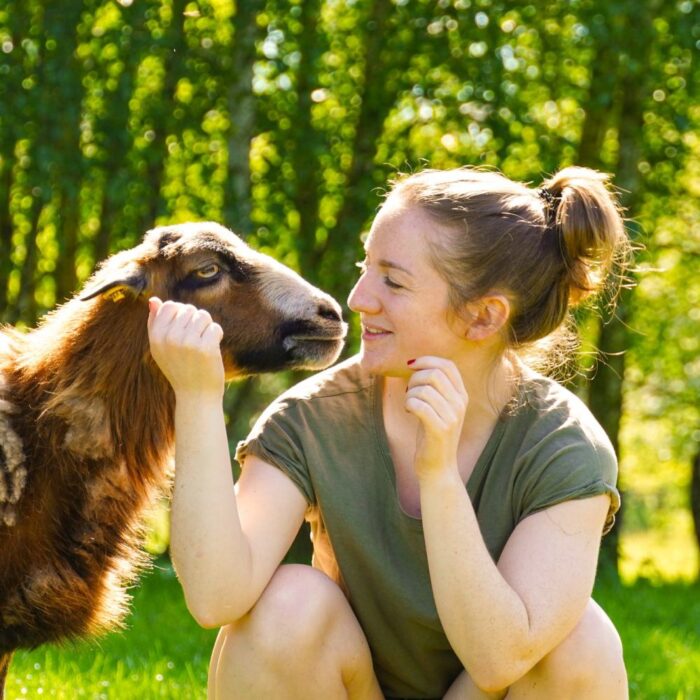 Besuchszeiten im Land der Tiere – Bild 3