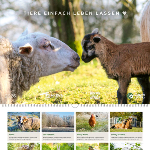 Der Land der Tiere Bildkalender für 2026