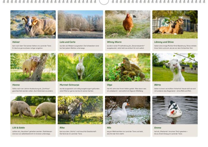 Der Land der Tiere Bildkalender für 2026