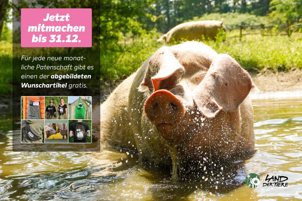 https://land-der-tiere.de/patenschaften