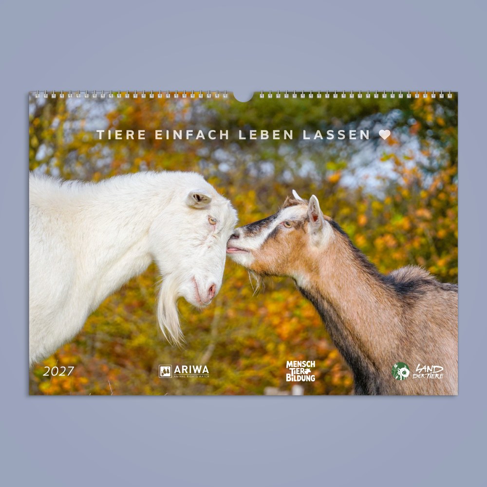 Land der Tiere Kalender 2027
