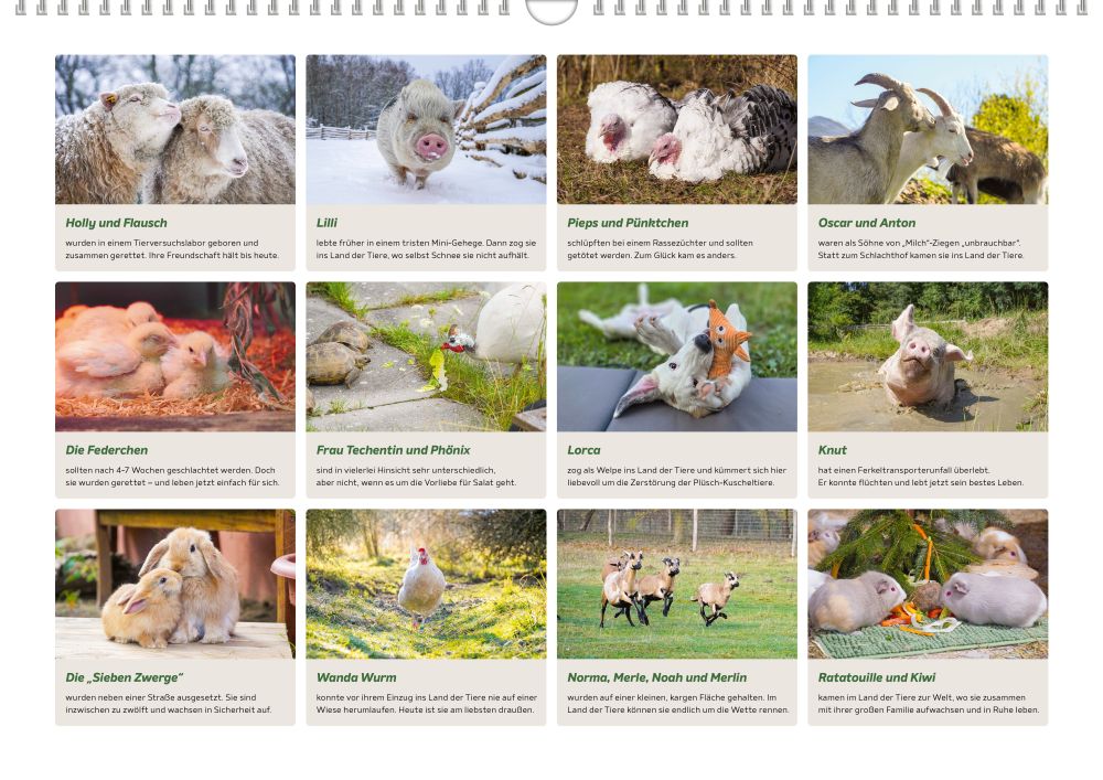 Land der Tiere Kalender 2027 – Bild 5