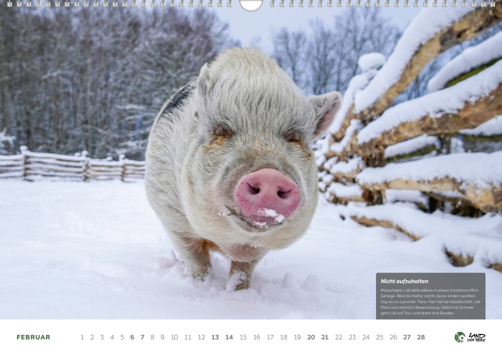 Land der Tiere Kalender 2027 – Bild 2